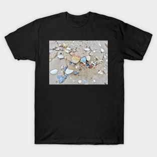 peble beach T-Shirt